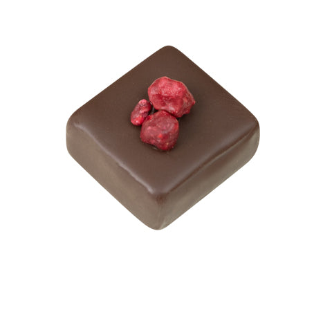 JACEK Chocolate Couture